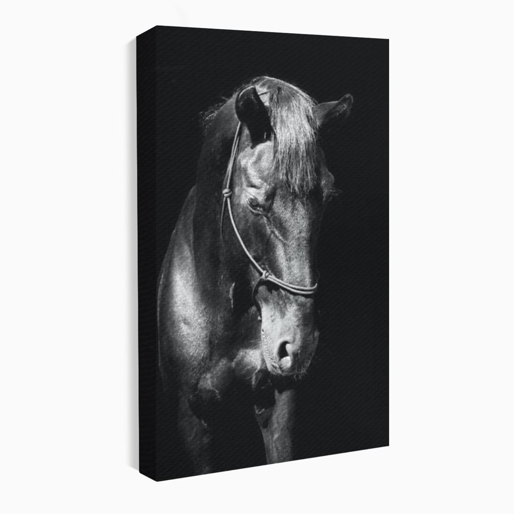 Tablou canvas cu tablou canvas cu un cal negru, fara rama, pe sasiu de lemn